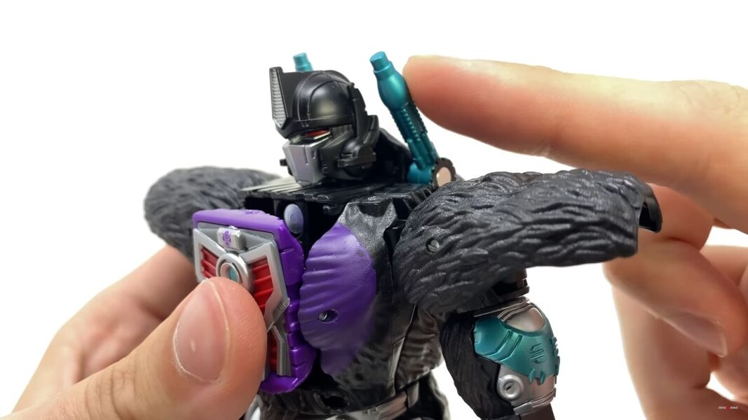 Transformers Worlds Collide 4 Pack In Hand Images  (14 of 42)